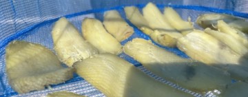 果乾、牛肉乾、奶粉，都靠同一種技術：乾燥學問比你想得多！